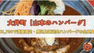 【大井町】山本のハンバーグ|ゴルゴンゾーラ入り名物ハンバーグ&大井町限定メニューを食らえ
